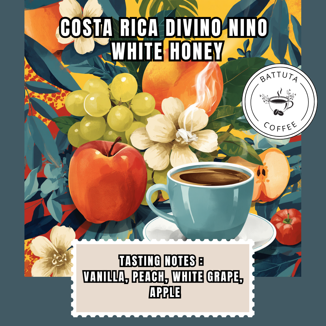 [Battuta Coffee]COSTA RICA DIVINO NINO WHITE HONEY  - 100% Arabica