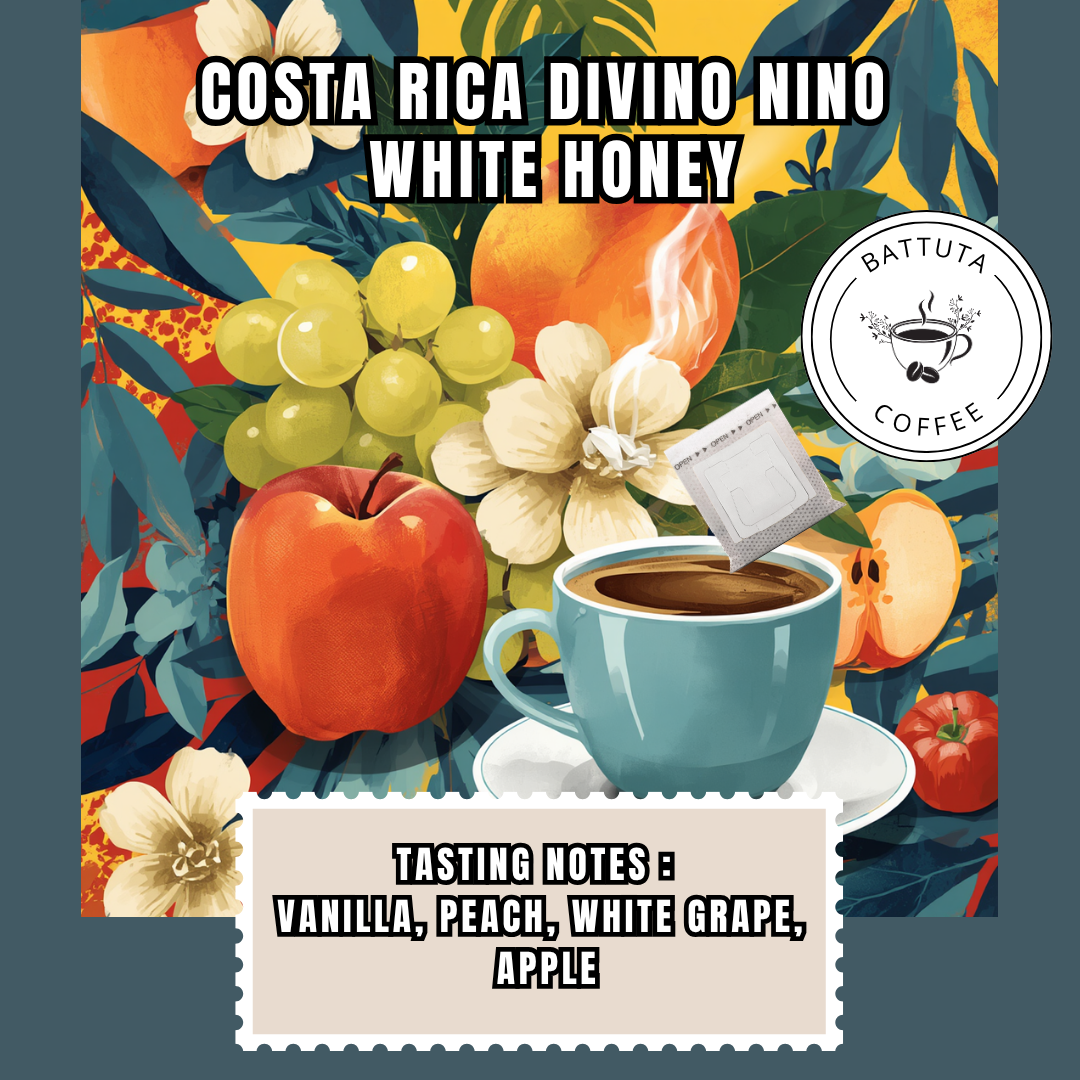 [Battuta Coffee]COSTA RICA DIVINO NINO WHITE HONEY  - 100% Arabica