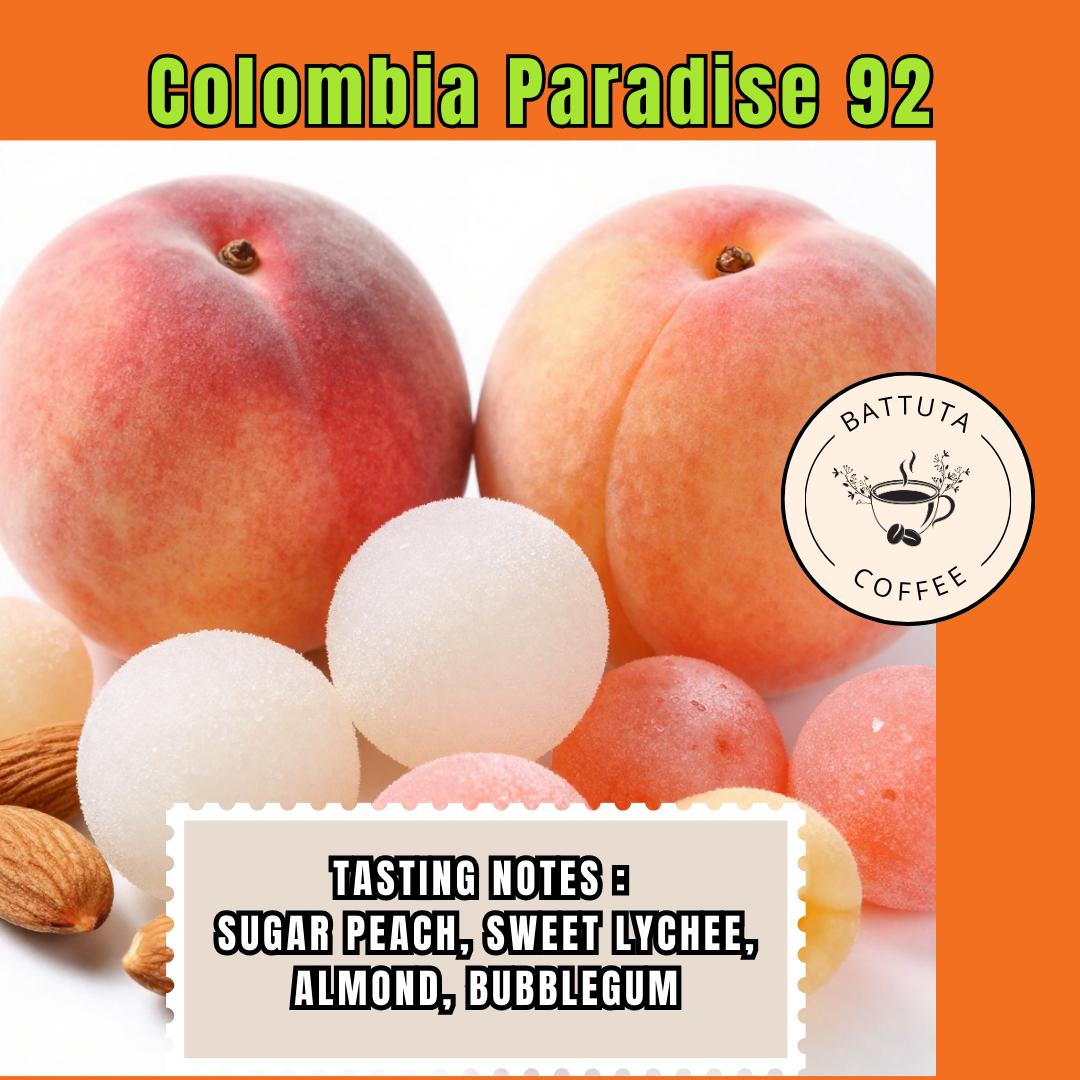 [Battuta Coffee]Colombia Paradise 92- 100% Arabica