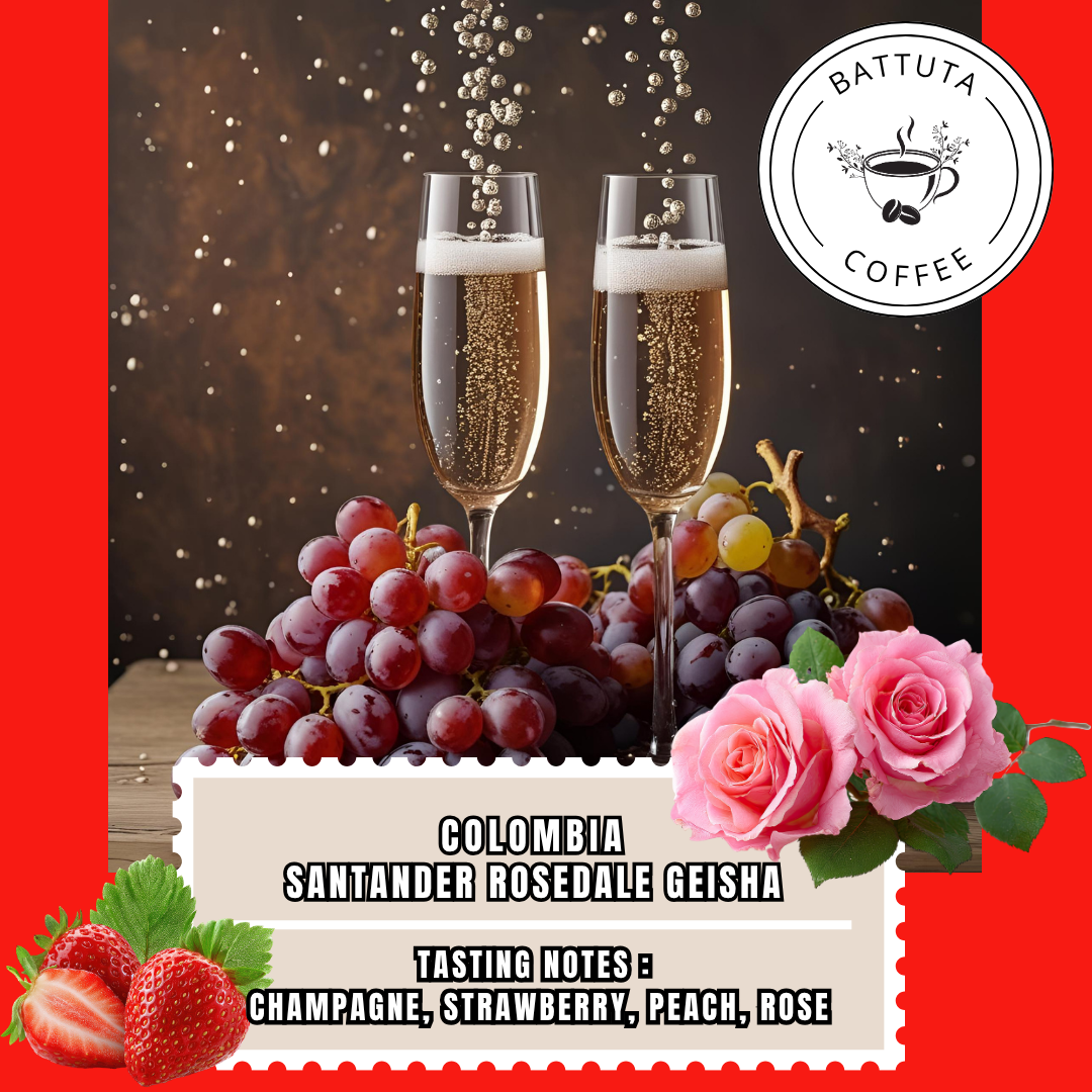 [Battuta Coffee] Colombia Santander Rosedale Geisha Microbial Anaerobic Washed Coffee - 100% Arabica
