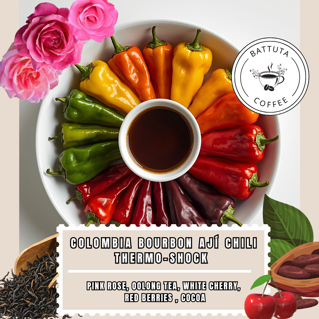 [Battuta Coffee] COLOMBIA BOURBON AJÍ CHILI THERMO-SHOCK Coffee - 100% Arabica
