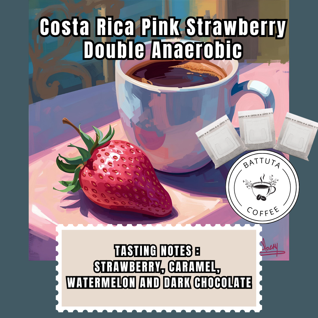 [Battuta Coffee]Costa Rica Pink Strawberry Double Anaerobic  - 100% Arabica