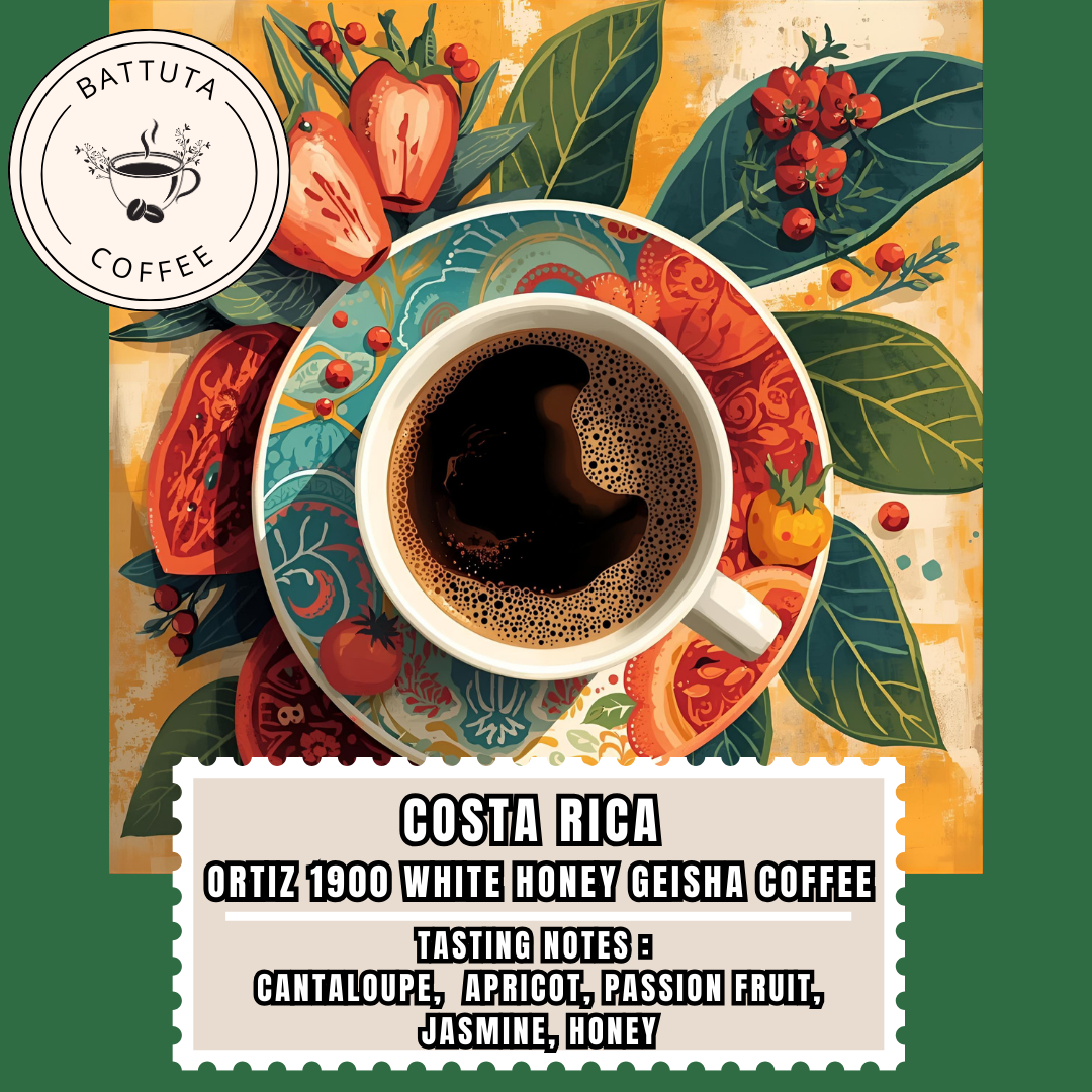 [Battuta Coffee] Costa Rica Ortiz 1900 White Honey Geisha Coffee - 100% Arabica