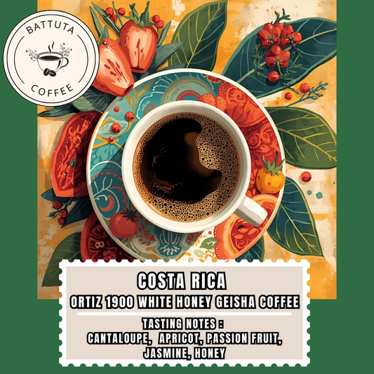 [Battuta Coffee] Costa Rica Ortiz 1900 White Honey Geisha Coffee - 100% Arabica