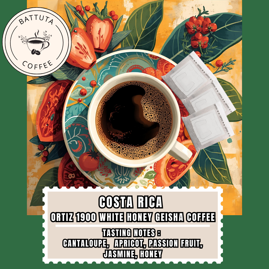 [Battuta Coffee] Costa Rica Ortiz 1900 White Honey Geisha Coffee - 100% Arabica