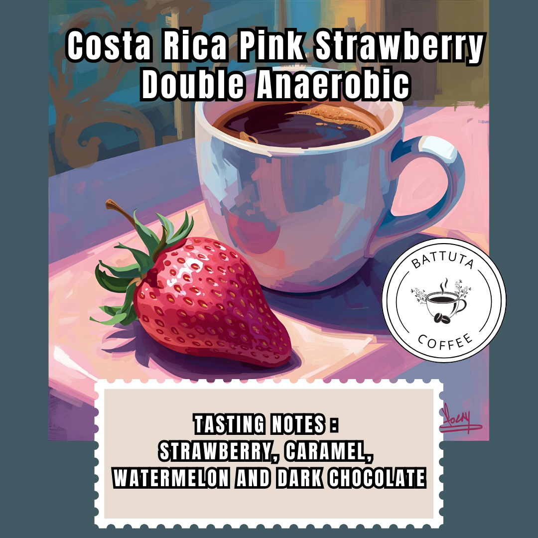 [Battuta Coffee]Costa Rica Pink Strawberry Double Anaerobic  - 100% Arabica