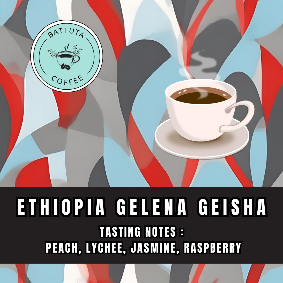 [Battuta Coffee] Ethiopia's Exquisite Gelena Geisha Coffee -  100% Arabica Flavored coffee