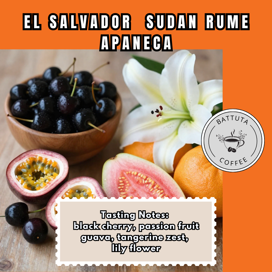 El Salvador  Sudan Rume Apaneca