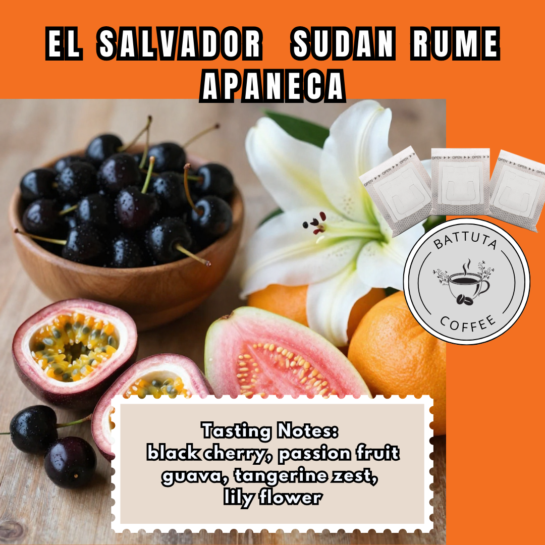 El Salvador  Sudan Rume Apaneca