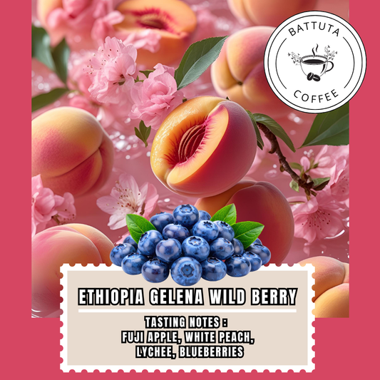 (Battuta Coffee)Ethiopia Gelena Wild Berry Anaerobic Natural Coffee - 100% Arabica