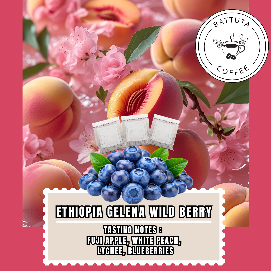 (Battuta Coffee)Ethiopia Gelena Wild Berry Anaerobic Natural Coffee - 100% Arabica