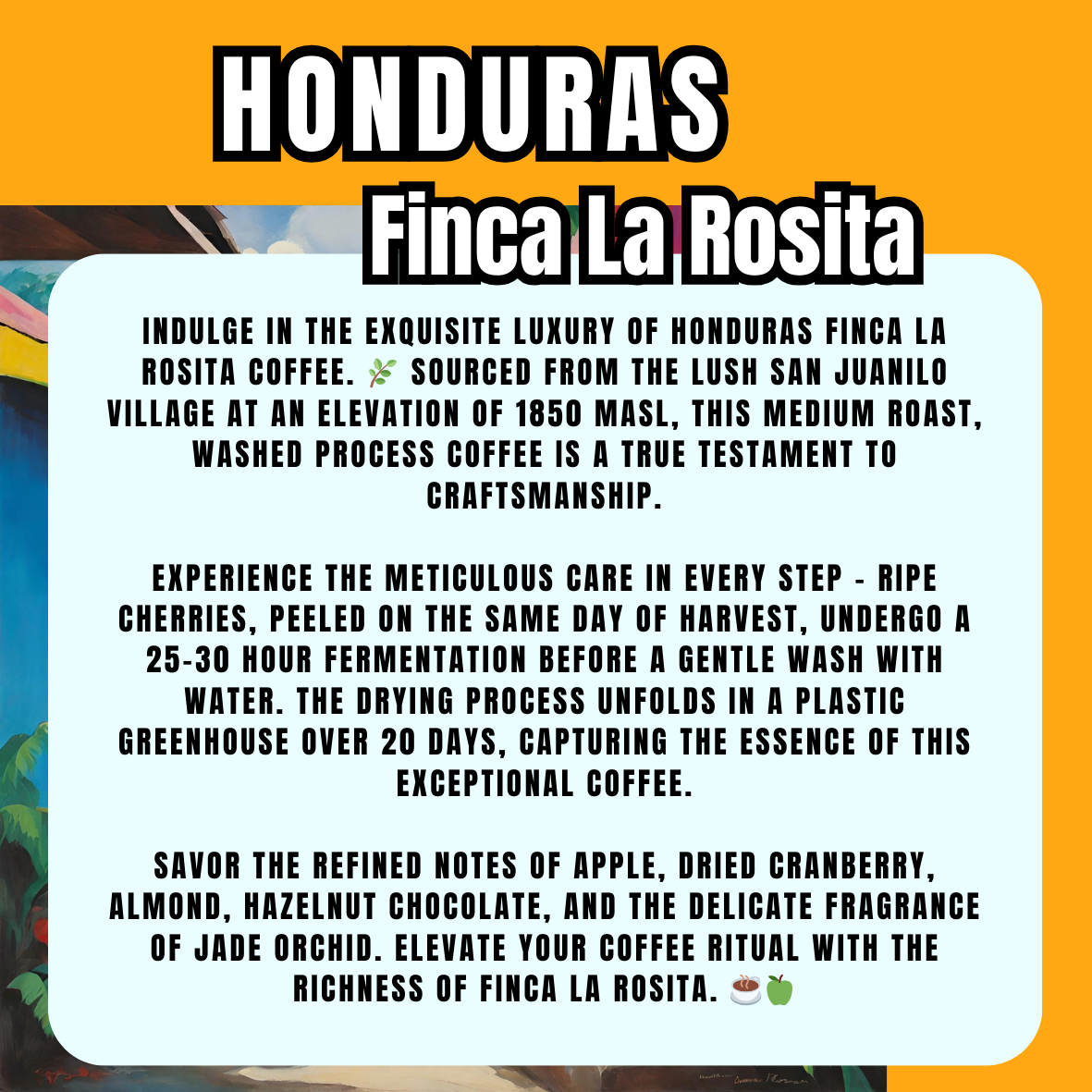 [Battuta Coffee] Honduras Finca La Rosita - 100 % Arabica