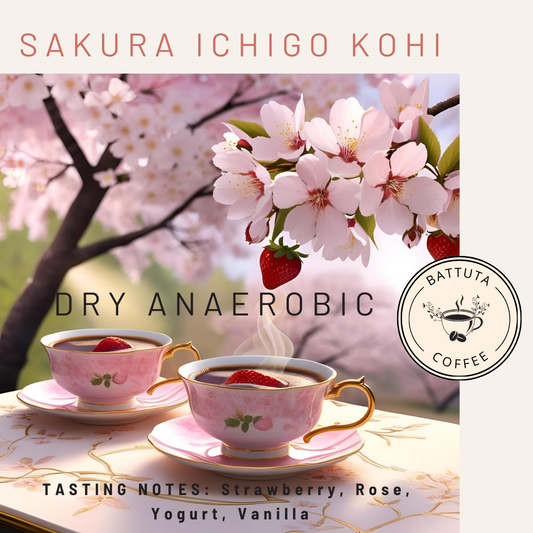 [Battuta Coffee] Sakura Ichigo Kohi - 100% Arabica