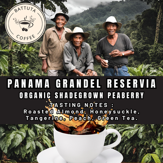 [Battuta Coffee]  - Panama Grandel Reservia 100% Arabica