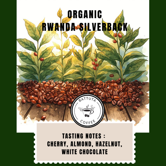 [Battuta Coffee] Organic Rwanda Silverback Coffee - 100% Arabica