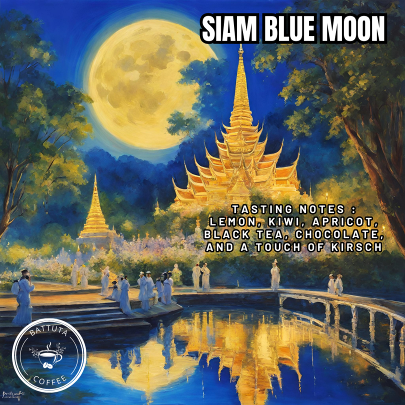 [Battuta Coffee] Siam Blue Moon 100g – 100% Arabica Beans