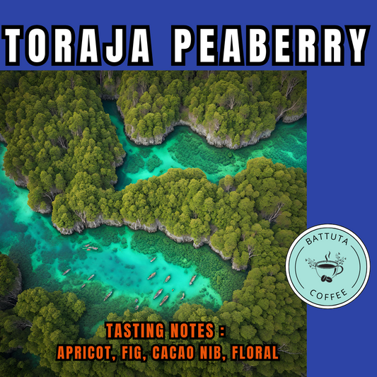 [Battuta Coffee]  Toraja Peaberry Coffee - 100% Arabica