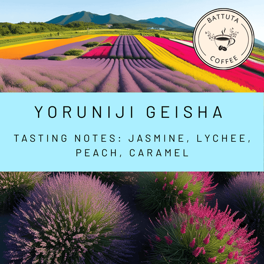 [Battuta Coffee] Yoruniji Geisha Night Rainbow - 100% Arabica Blend