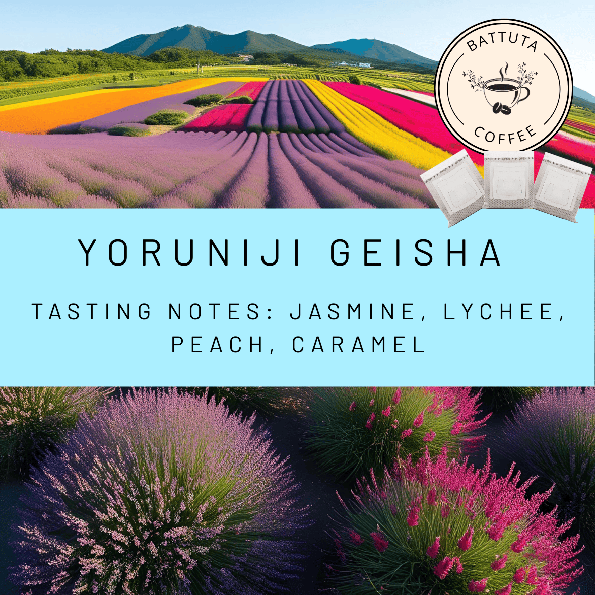 [Battuta Coffee] Yoruniji Geisha Night Rainbow - 100% Arabica Blend