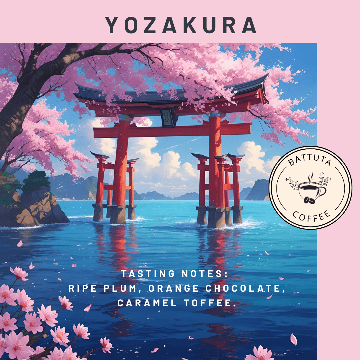 [Battuta Coffee] Yozakura 100% Arabica Blend