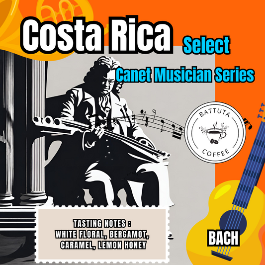 [Battuta Coffee] Costa Rica Musician Series 2024  –  100% Arabica Coffee Beans