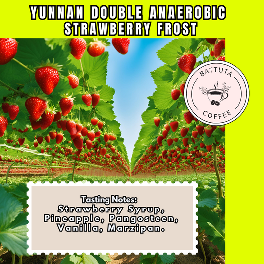 [Battuta Coffee] Yunnan Double Anaerobic Strawberry Frost  - 100% Arabica
